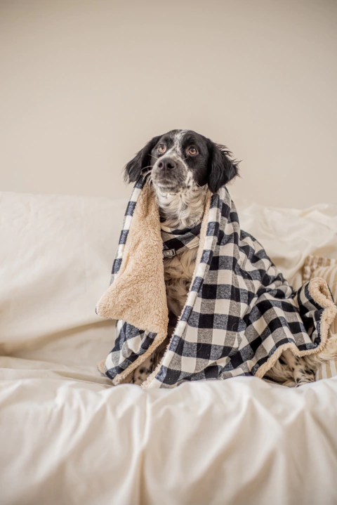 Mantita -URBAN BLACK-