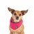 Bandana reversible CROMA Fucia-Naranja - comprar online