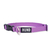COLLAR CLASSIC -VIOLETA- - comprar online