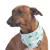 Bandana Summer Vibes na internet