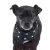 Bandana Rock - comprar online