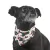 bandana noel en internet