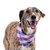 Bandana Urban Pink