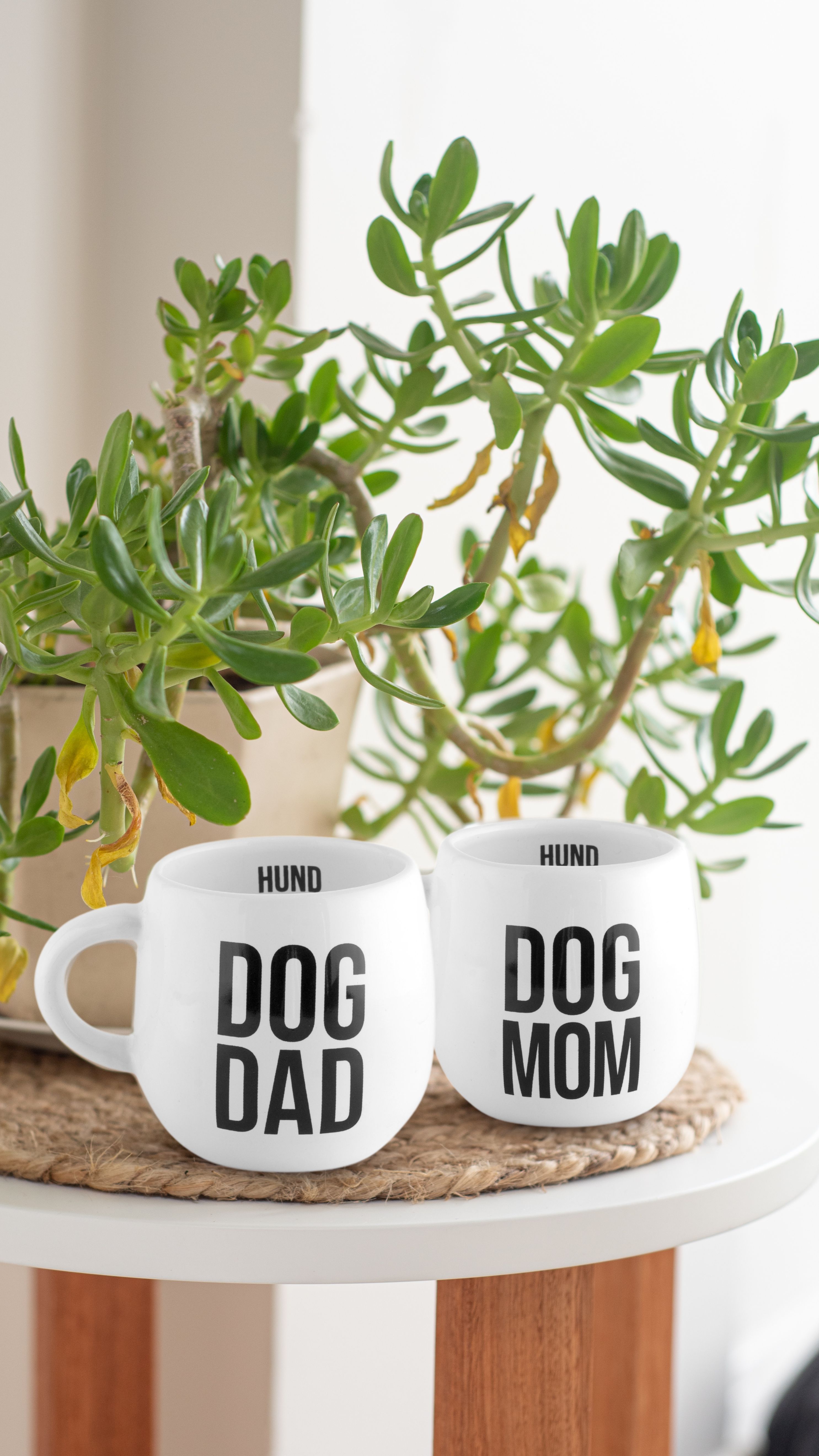 Banner de la categoría Productos