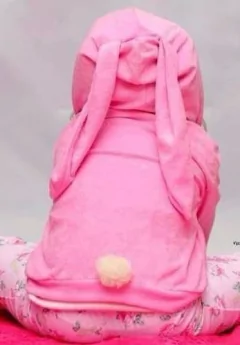 Campera Disfraz Coneja Orejas Towel - comprar online