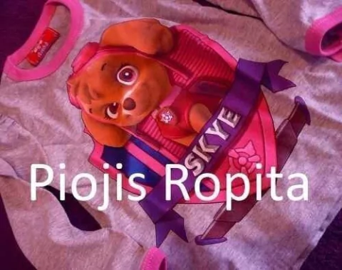 Remeras Manga larga de Personajes - Niño/niña - POR MAYOR