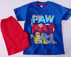 Set Conjunto Paw Patrol remera y short pijama en internet
