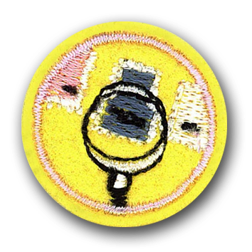 INSIGNIA ESPECIALIDAD ALITAS "COLECCIONES"