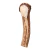 Cabo Chifre de Cervo Axis Natural - Tipo 1 - CCNT1-54 - comprar online