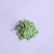 Imagem do Pigmento Perolado - 5 gramas - Apple Green - Verde Brilhante - Nº 01