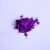 Imagem do Pigmento Perolado Fluorescentes - 5 gramas - Violeta - Roxo Fluorescente - Nº 03