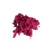 Pigmento Perolado - 5 gramas - Rose Red - Rosa - Nº 25 - loja online