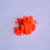 Pigmento Perolado Fluorescentes - 5 gramas - Blaze Orange - Laranja Fluorescente - Nº 32 - loja online