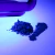 Pigmento Perolado Fluorescentes - 5 gramas - Horizon Blue - Azul Fluorescente - Nº 35