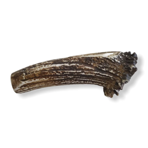 Cabo Sintético Cervo Coroa Médio - Modelo 60 - comprar online