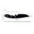 Lâmina de Faca Bushcraft 11 - Loja do Cuteleiro - Materiais e Insumos para Cutelaria
