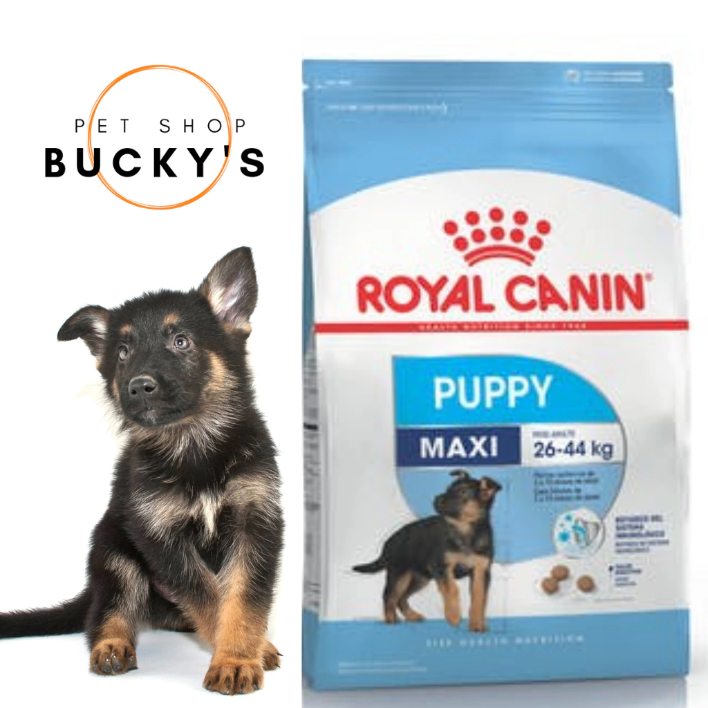 ROYAL CANIN PUPPY MAXI - CACHORROS RAZAS GRANDES