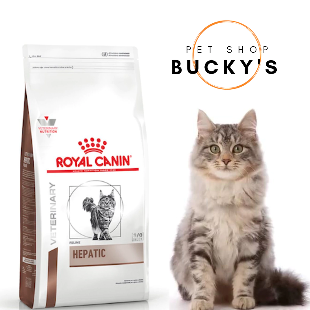 ROYAL CANIN CAT HEPATIC