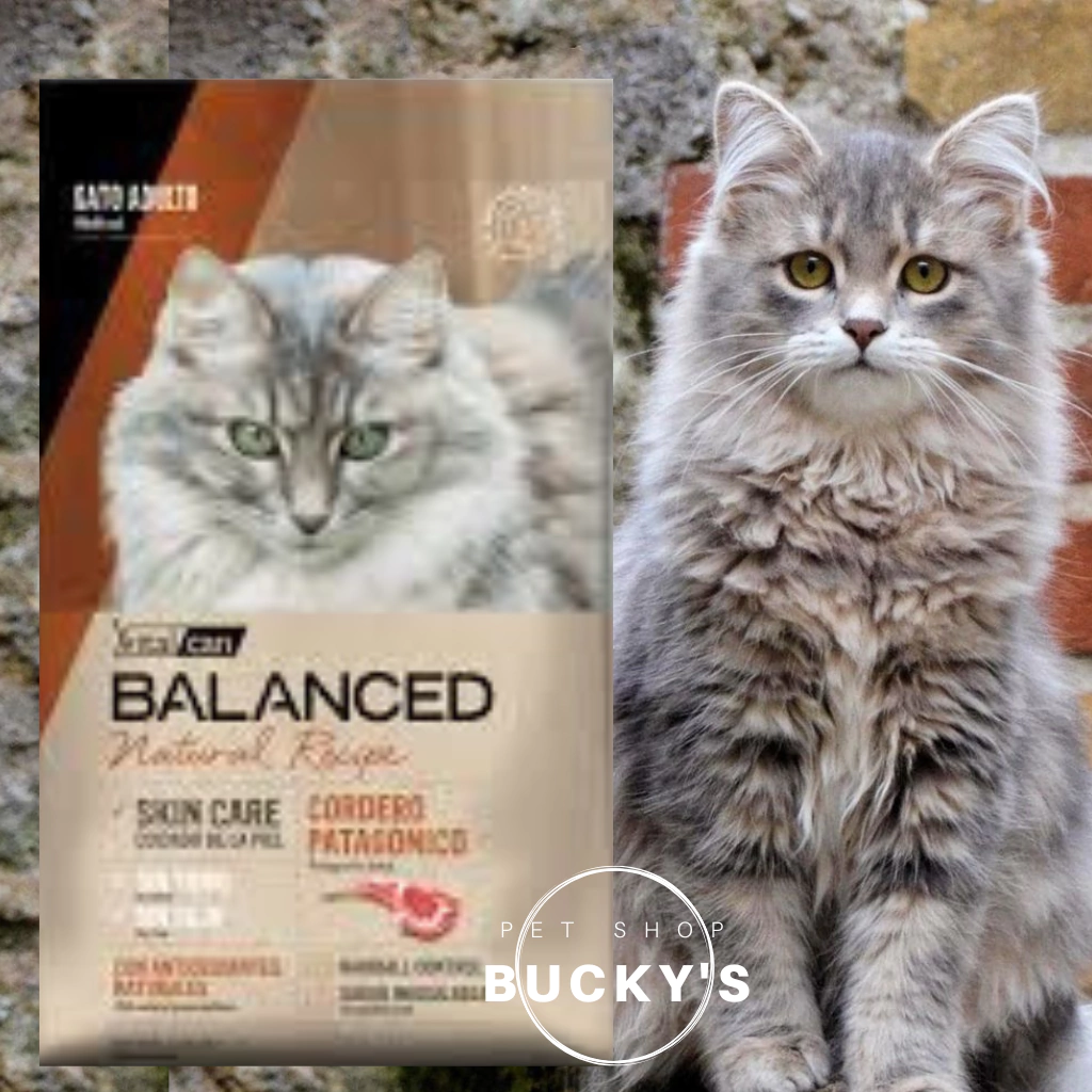 VITAL CAN BALANCED NATURAL RECIPE PARA GATOS ADULTOS CORDERO PATAGONICO