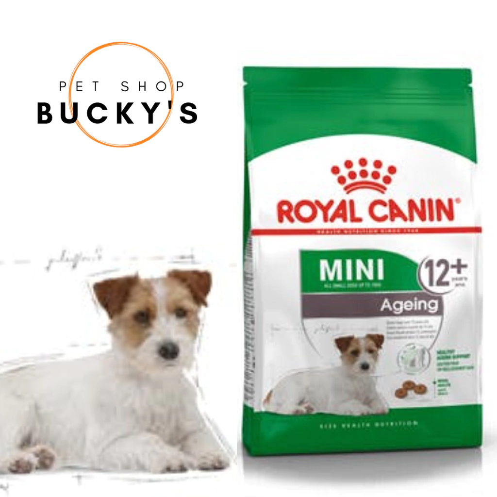 ROYAL CANIN MINI AGEING 12+