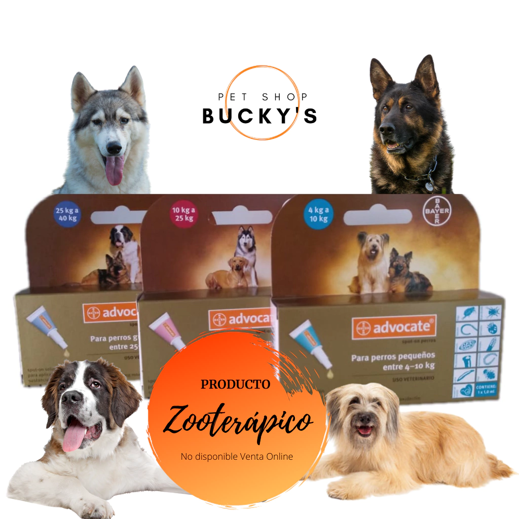 PIPETAS ADVOCATE PERROS