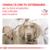 ROYAL CANIN DOG RENAL en internet