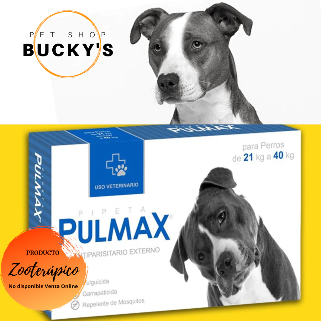 PIPETAS PULMAX