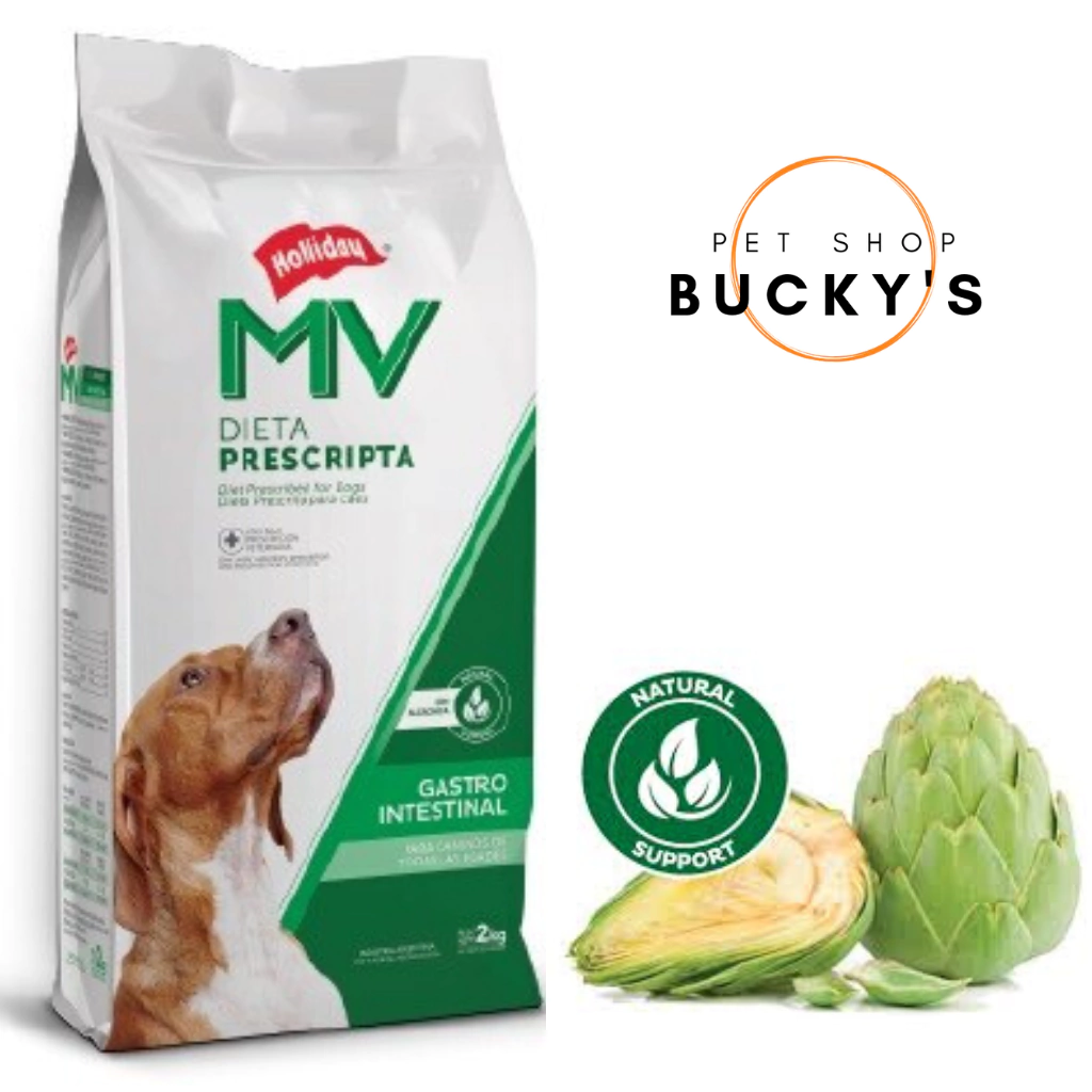 MV HOLLIDAY GASTROINTESTINAL PERRO