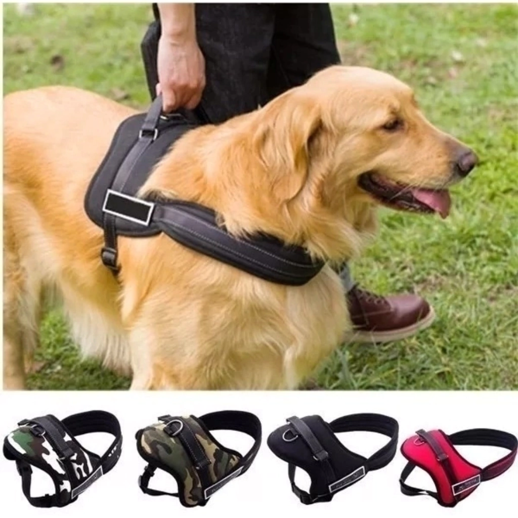 ARNES ACOLCHADO XL