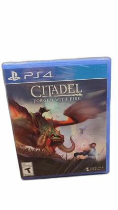 Citadel: Forged With Fire PS4 (Fisico-Sellado)