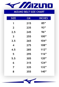 Faixa Preta Mizuno Gold Deluxe Selo FIJ na internet