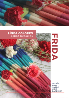 Imagen de Sahumerios LÍNEA COLORES x 500 u.