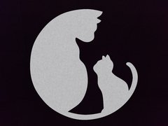 Quadro Gatos - QA14 - comprar online