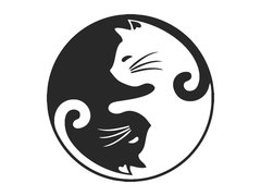 Yin Yang Gatos
