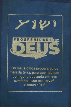 SAQUITEL - PROSPERIDADE COM DEUS - comprar online