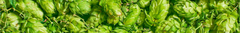 Banner de la categoría Lúpulos