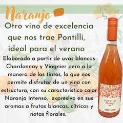 Vinos Pontilli - tienda online