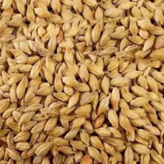 Kit Cerveza Artesanal De Trigo Weissbier P/20 Litros - comprar online
