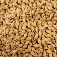 Kit Cerveza Artesanal P/20 Estilo Dorada Pampeana - comprar online