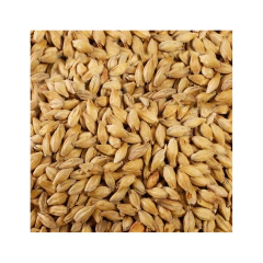 Malta Base Molida - Cebada - Cerveza Artesanal