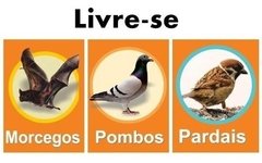 Xô Pombo Kit C/ 5 Unidades Gel 250g Repelente Pombos Pássaro - comprar online