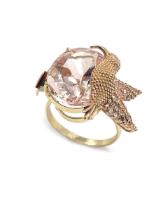 Imagem do Anel beija flor