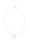 Colar ferradura com Diamante