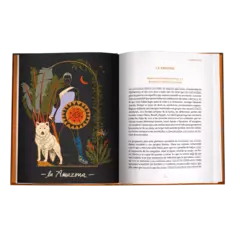 Libro Astrologia para empoderarte - comprar online
