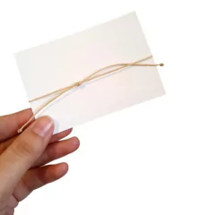 Pulsera Capricornio - comprar online