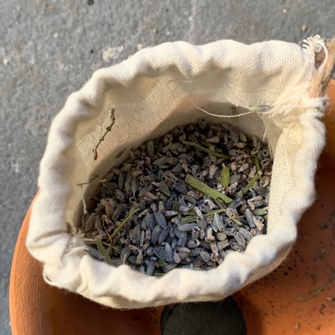 Lavanda natural orgánica (apta para infusiones o sahumar)