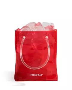HIELERA FROZEN BAG PEQUEÑA - Mots