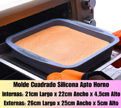 MOLDE DE SILICONA CUADRADO en internet