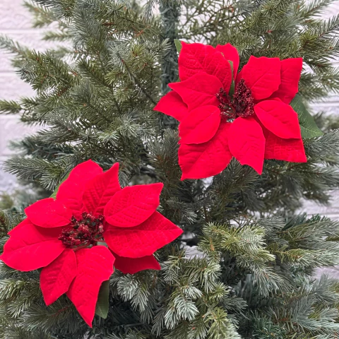 ESTRELLA FEDERAL FLOR ROJA - comprar online