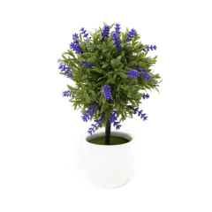 BONSAI LAVANDA 15X24CM